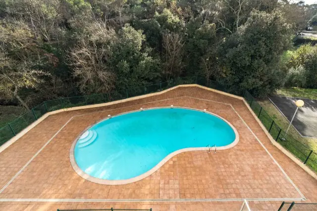 Sophia Antipolis, visuel 2