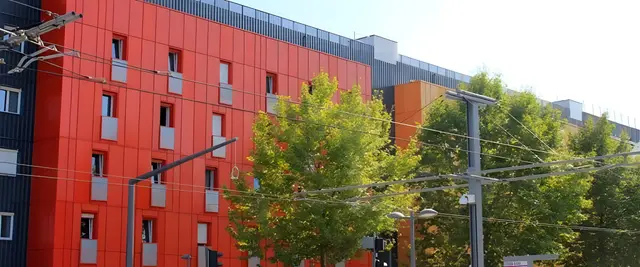 Studelites Bordeaux, visuel 1