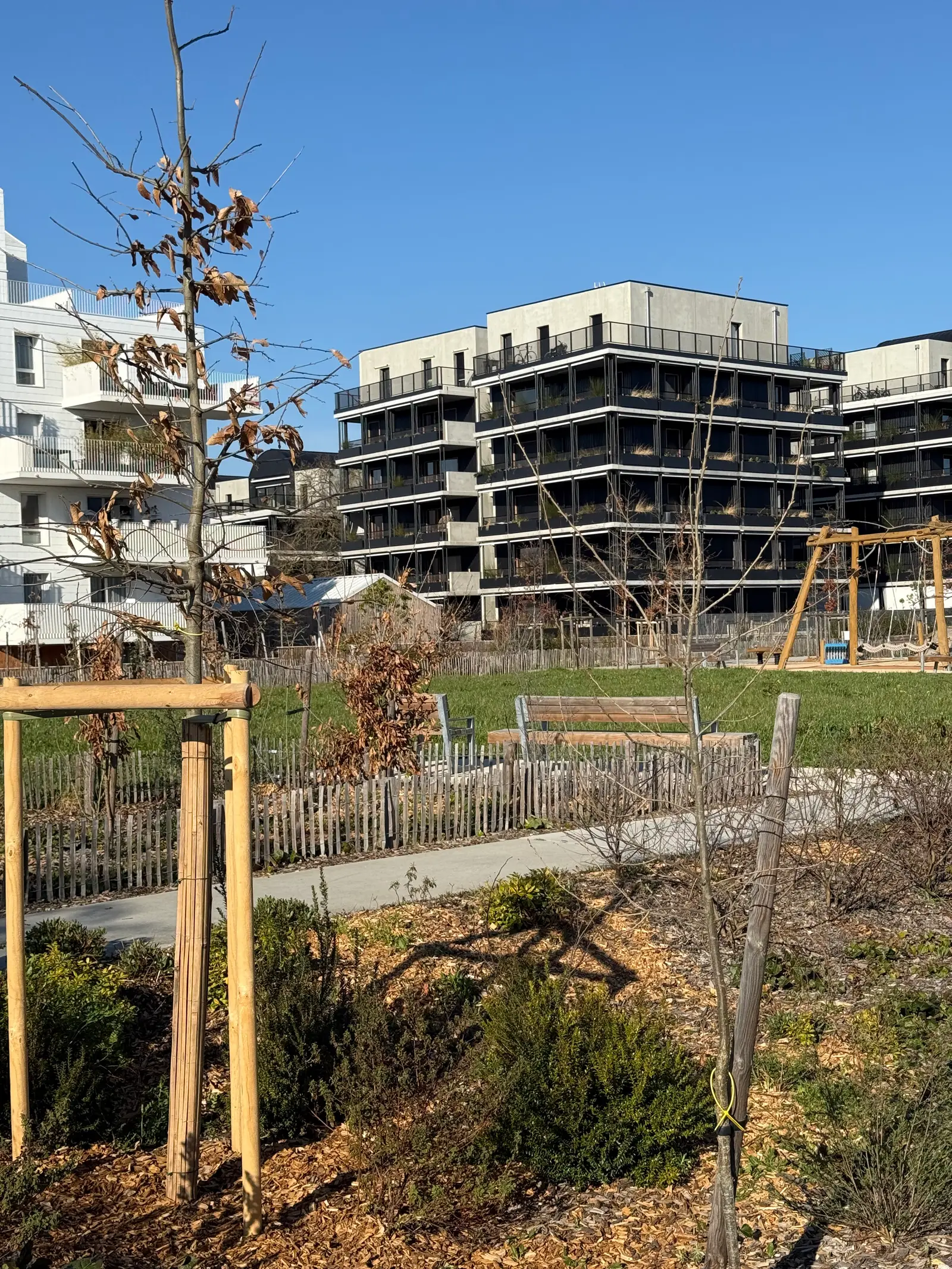 TERRE D'ENVOL — visuel 9