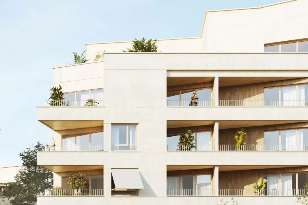 TERRE D'ENVOL — visuel 2