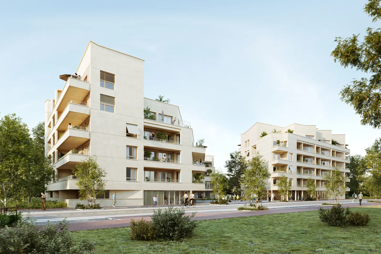 TERRE D'ENVOL — visuel 6