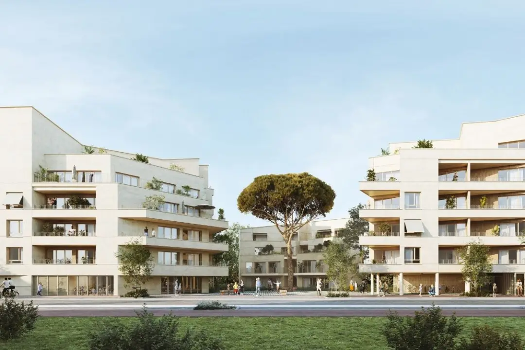 TERRE D'ENVOL — visuel 5