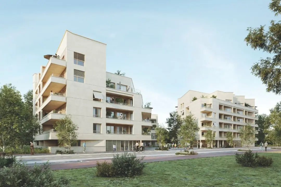 TERRE D'ENVOL — visuel 3