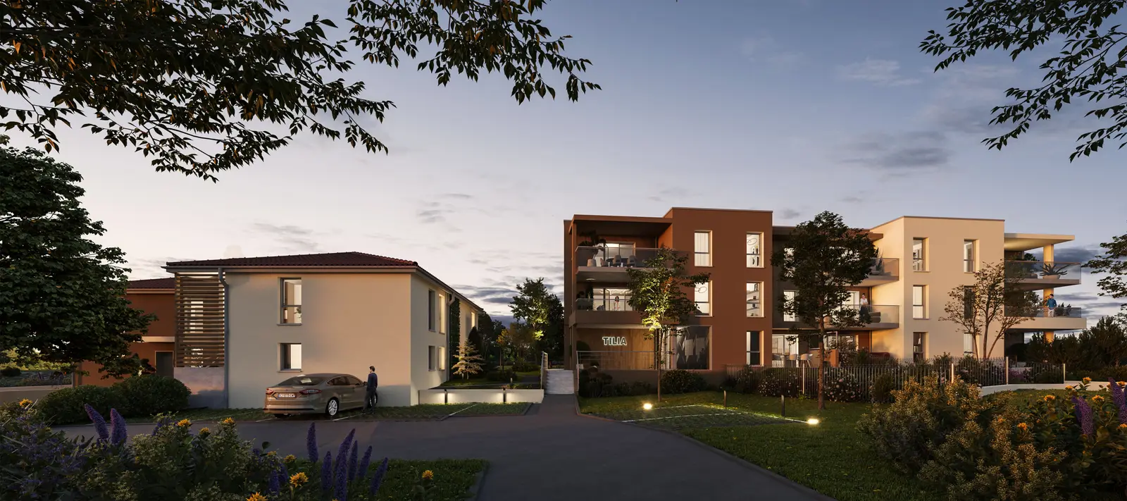 Tilia — visuel 6