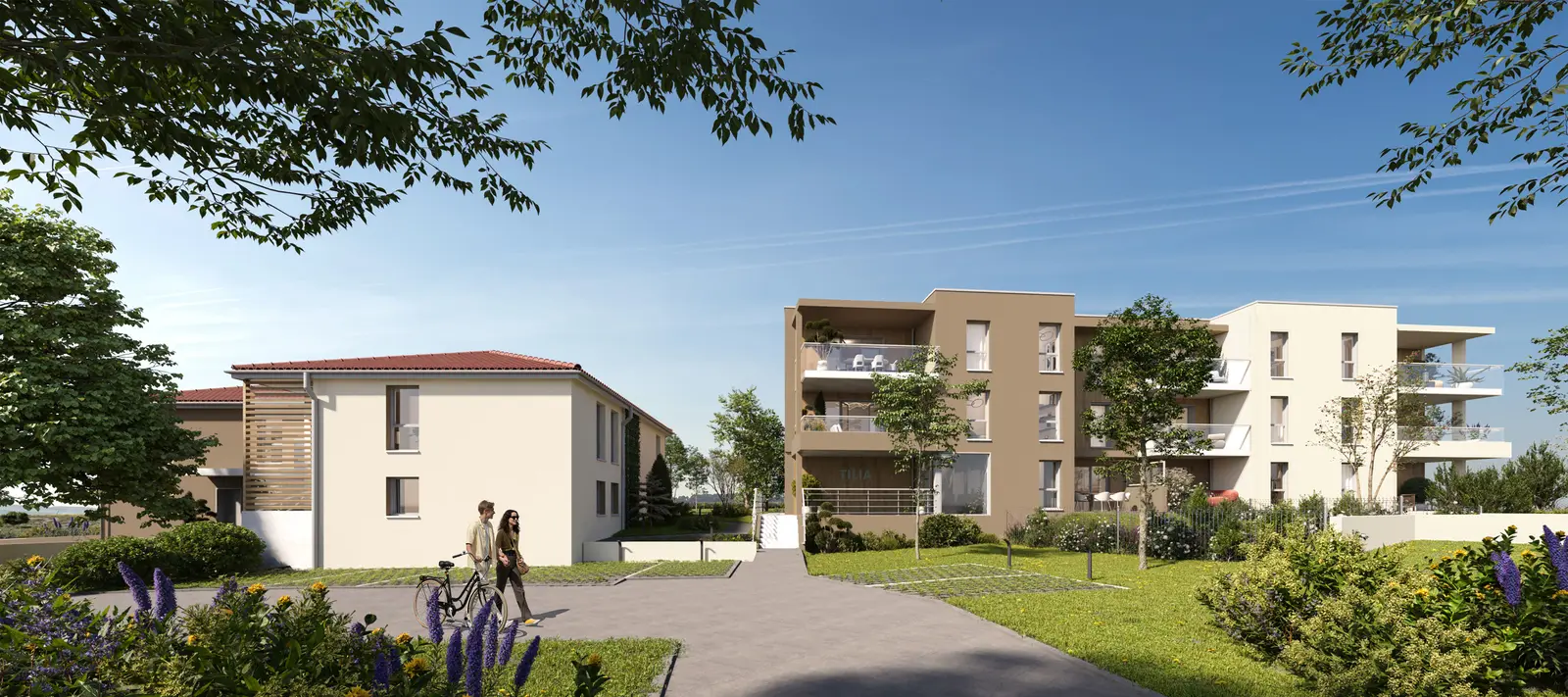 Tilia — visuel 7
