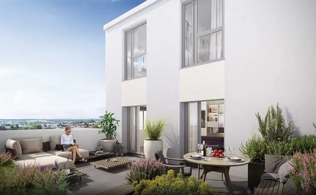 TILIA, visuel 3