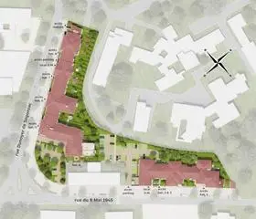 TILIA 19 — visuel 2