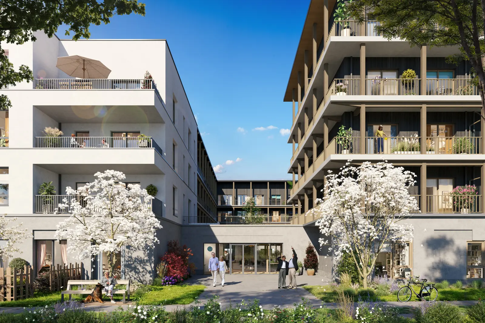 Villas Sohana — visuel 3