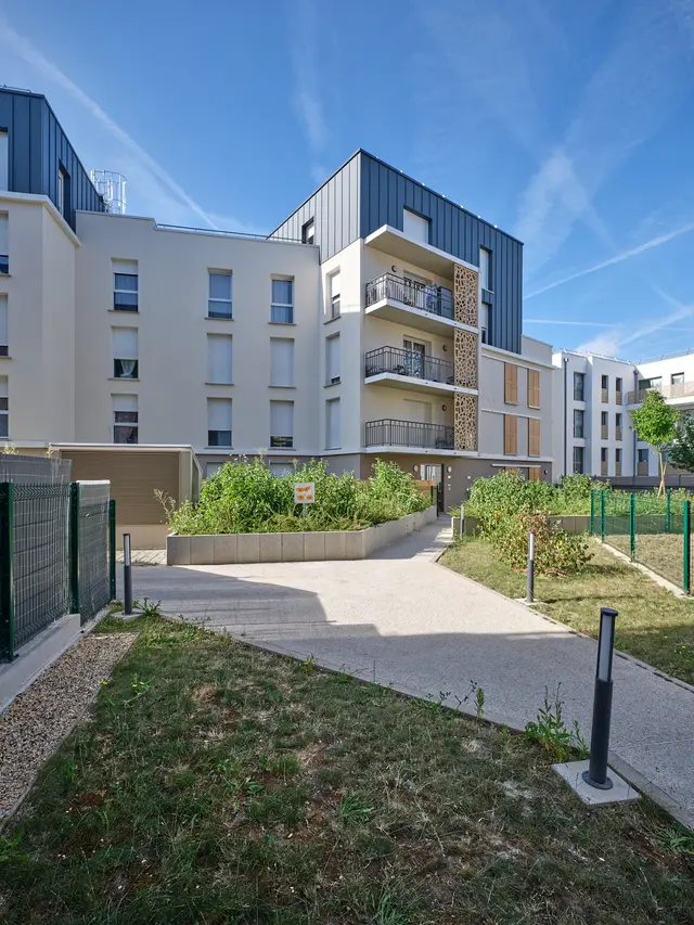 YONIS, visuel 1